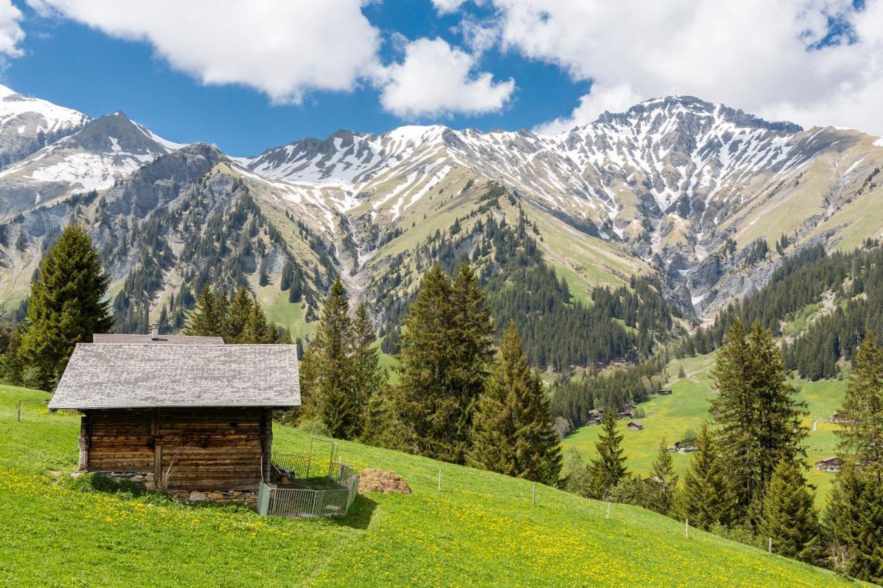 Hotel Des Alpes Adelboden Exterior foto